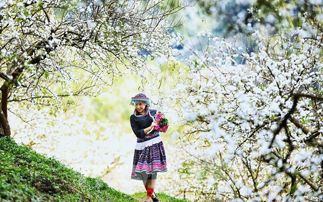 Những điểm du xuân, cầu may đầu năm lý tưởng